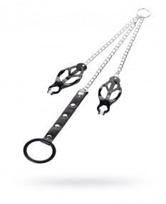 Зажимы для сосков с кольцом для пениса, TOYFA Metal