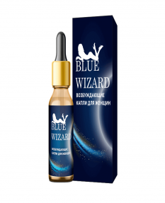 Blue wizard